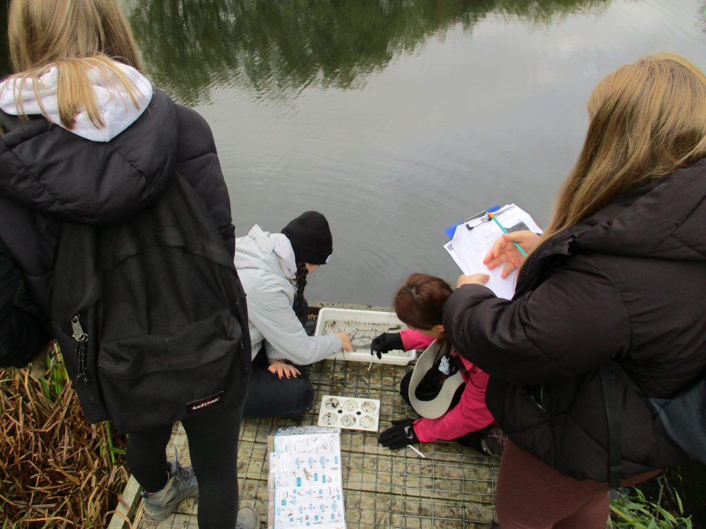 Year 13 Biology Field Trip