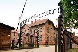 Lessons from Auschwitz Project