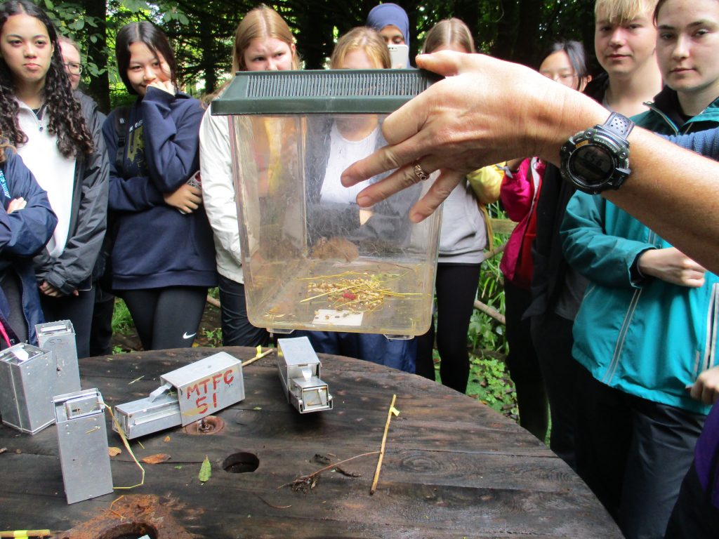 A-Level Biology Field Trip to FSC Castle Head, Grange-over-Sands