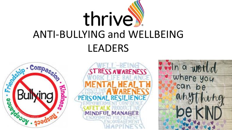 Wellbeing and Anti-Bullying Leaders