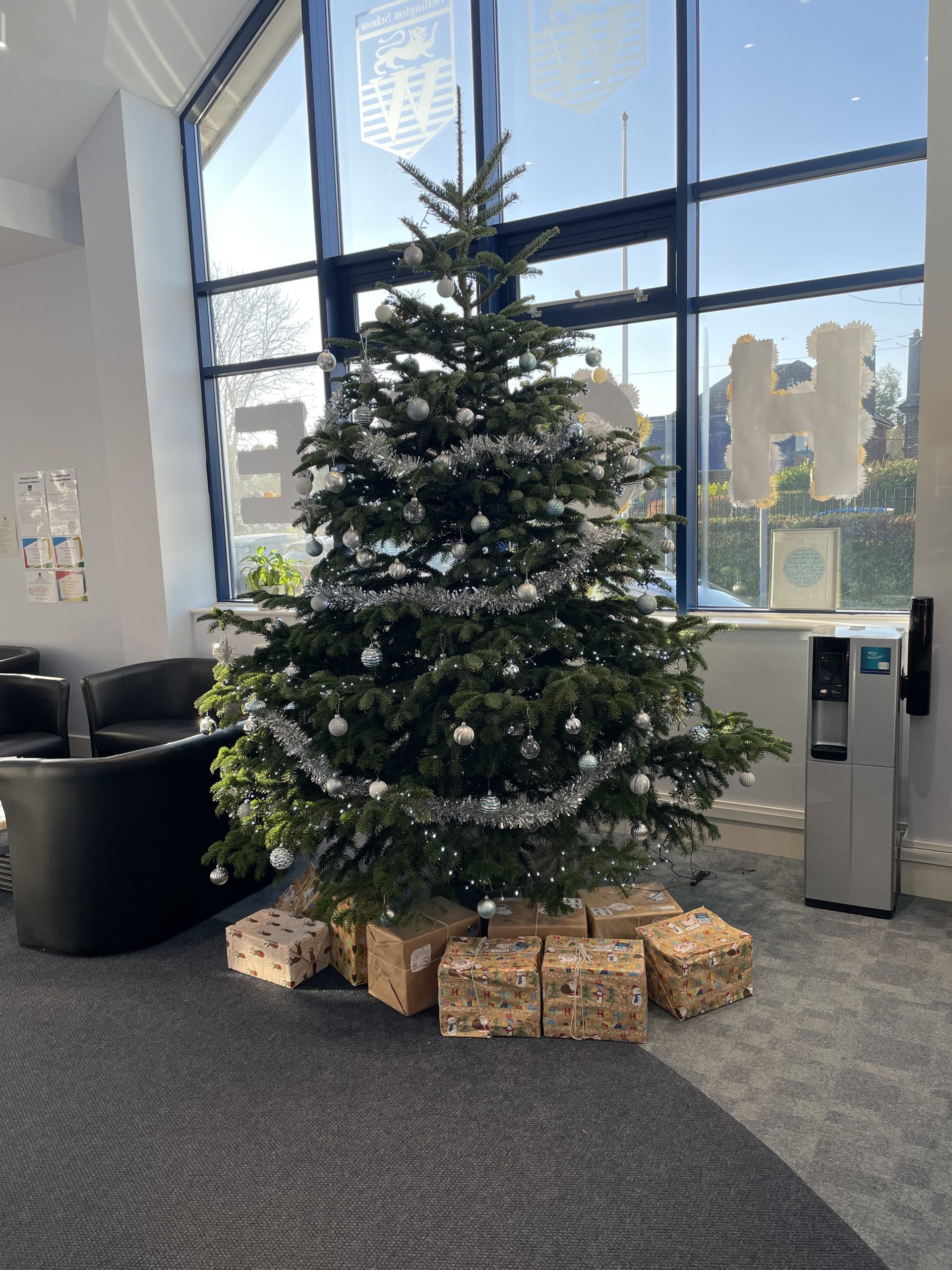 Christmas Trees! Wellington School