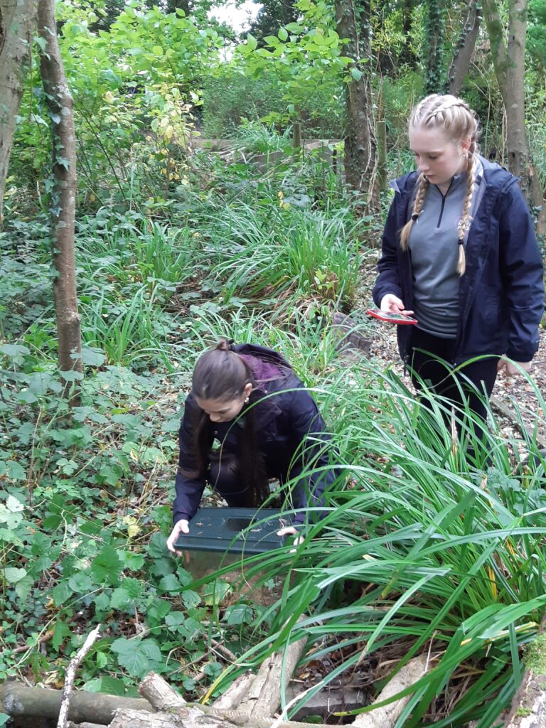 A-Level Biology Field Trip to FSC Castle Head, Grange-over-Sands